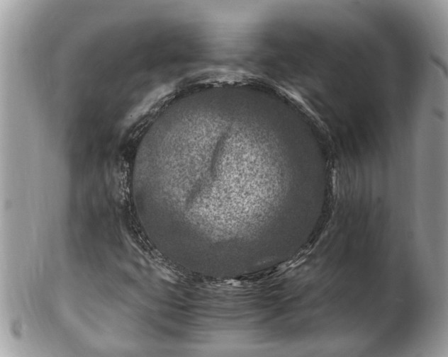 X0000101171399200807071211