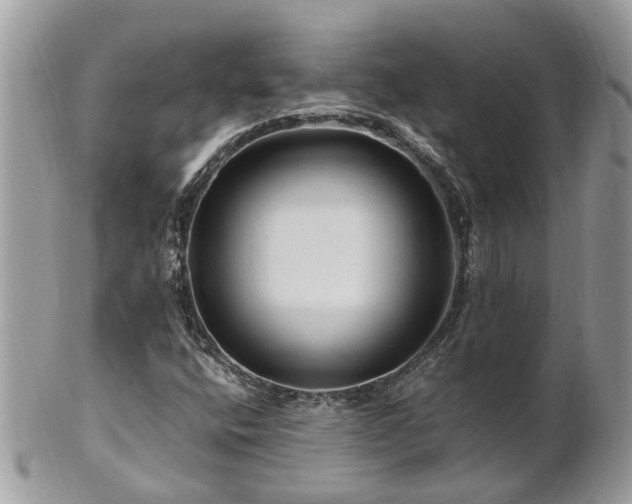 X0000101171400200807071211