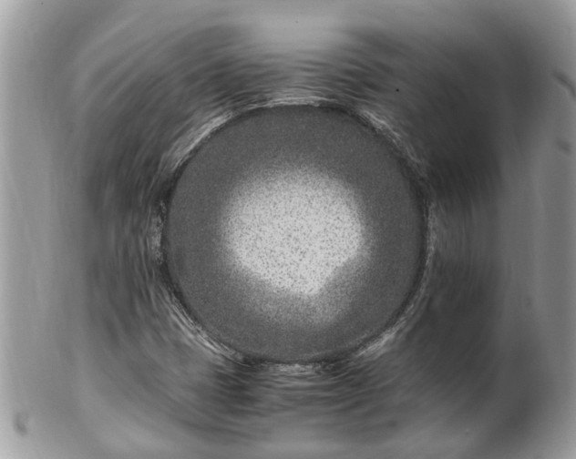 X0000101171401200807071211