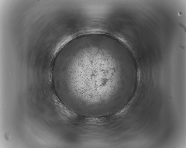 X0000101171405200807071211