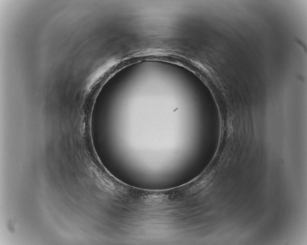 X0000101171406200807071211