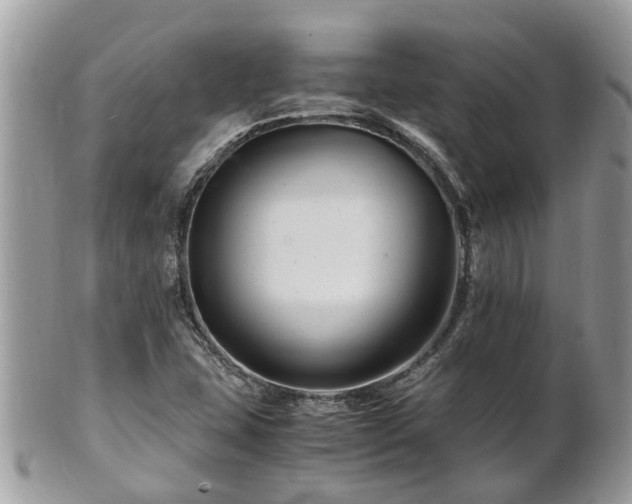 X0000101171407200807071211