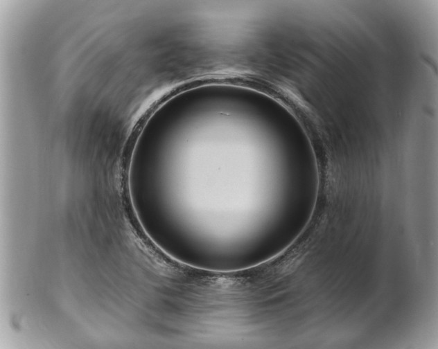 X0000101171412200807071211