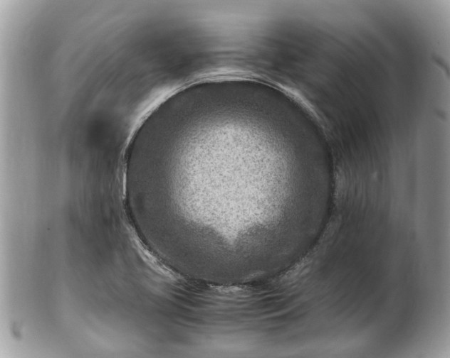 X0000101171413200807071211