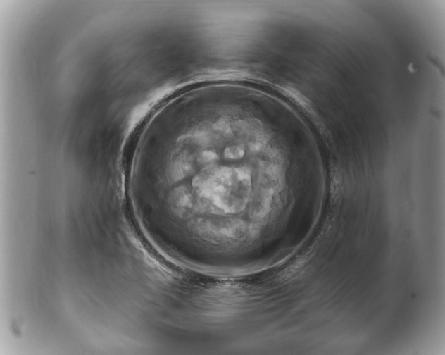 X0000101171414200807071211