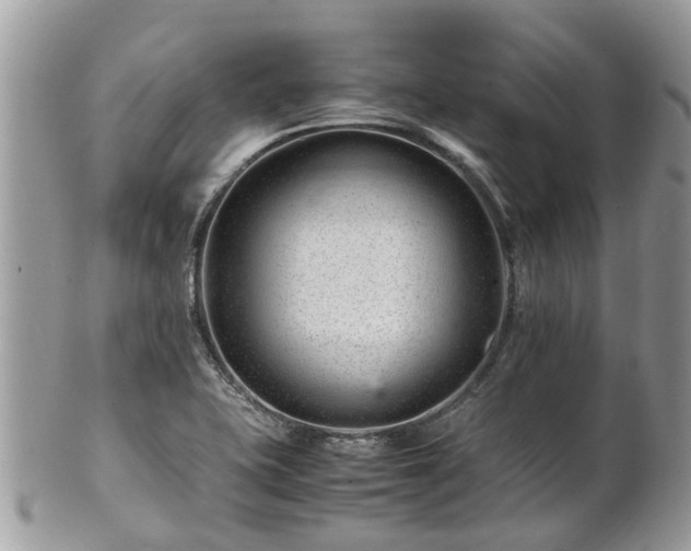 X0000101171415200807071211