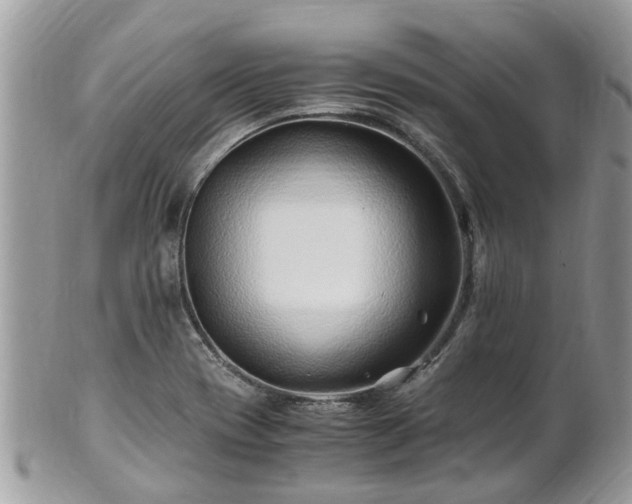 X0000101171417200807071211