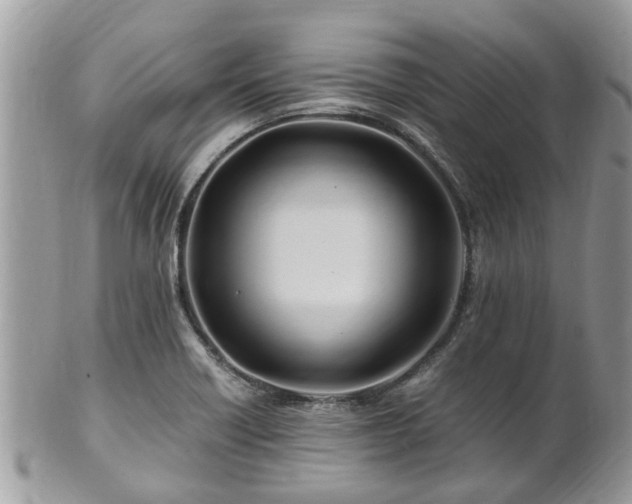 X0000101171418200807071211