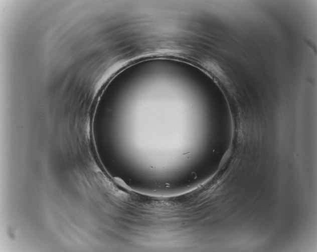 X0000101171420200807071211