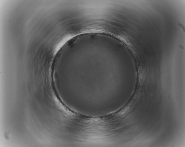 X0000101171422200807071211