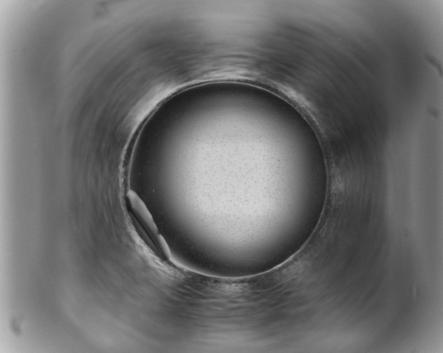 X0000101171423200807071211