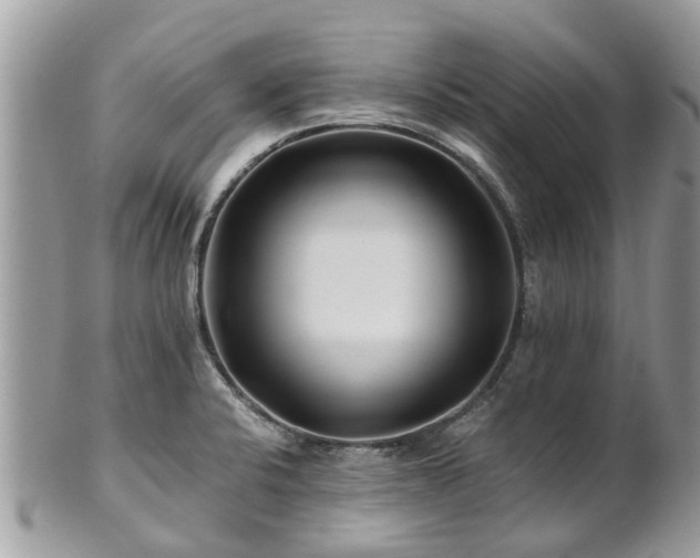 X0000101171424200807071211