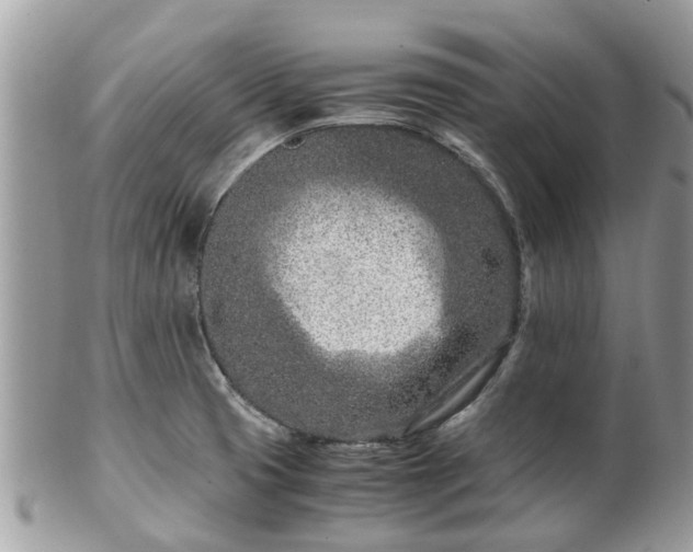 X0000101171425200807071211