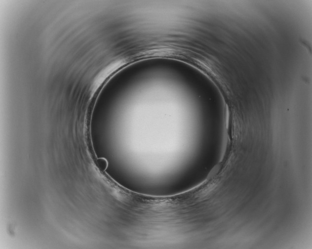 X0000101171426200807071211