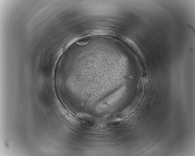 X0000101171427200807071211