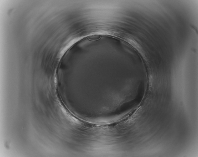 X0000101171428200807071211