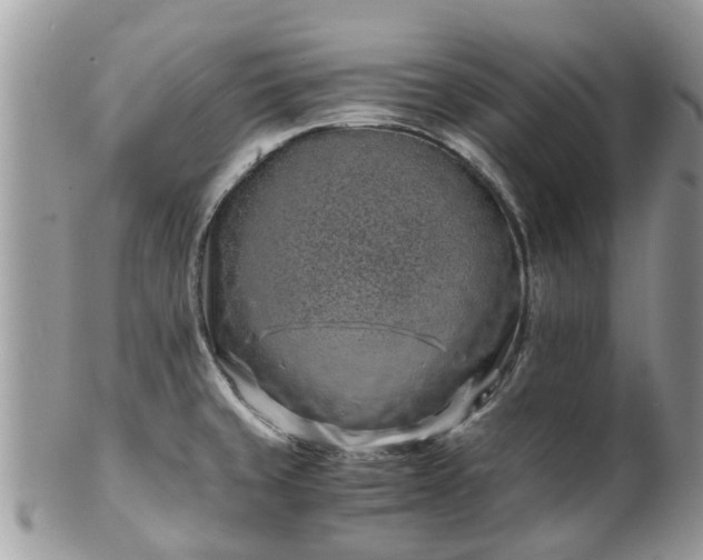 X0000101171429200807071211