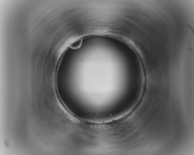 X0000101171432200807071211