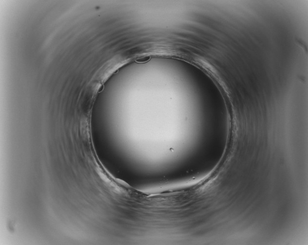 X0000101171433200807071211