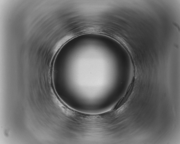 X0000101171434200807071211