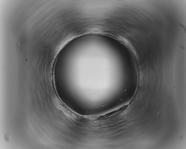 X0000101171435200807071211