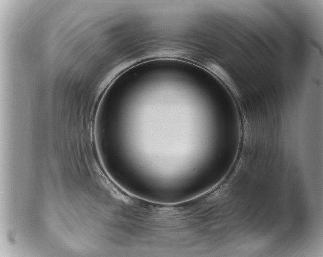 X0000101171436200807071211
