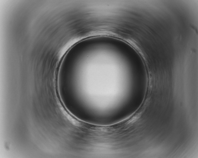 X0000101171438200807071211