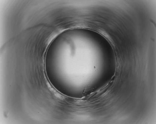 X0000101171439200807071211