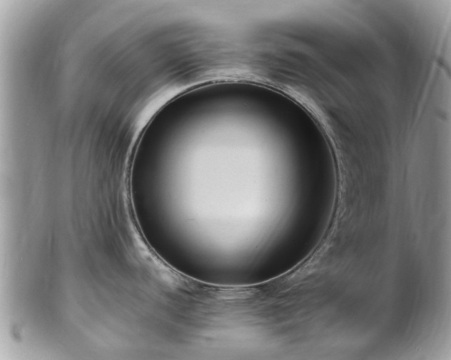 X0000101171440200807071211