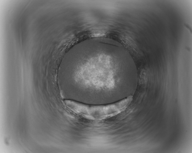 X0000101171441200807071211