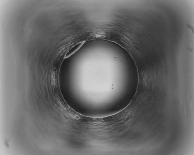 X0000101171442200807071211