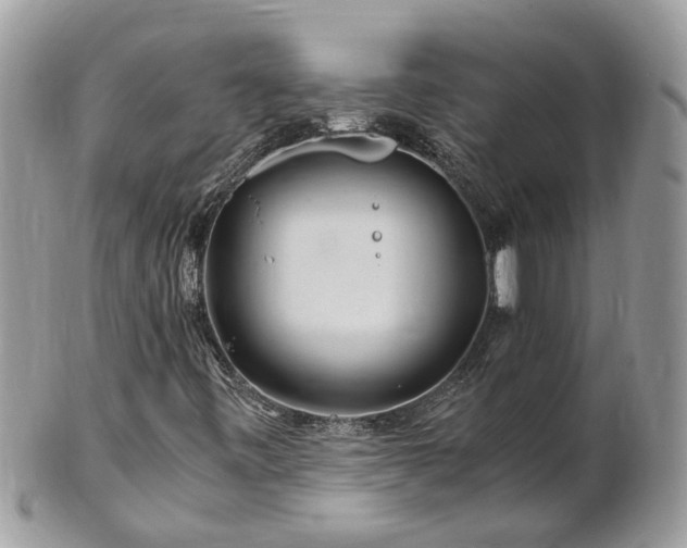 X0000101171443200807071211