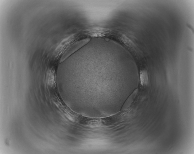 X0000101171444200807071211