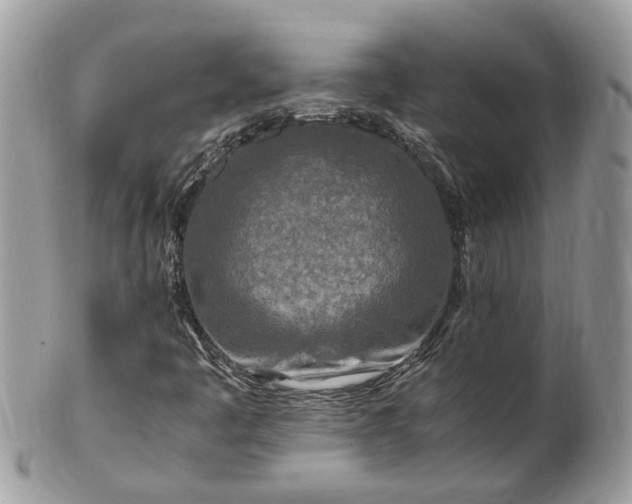 X0000101171445200807071211