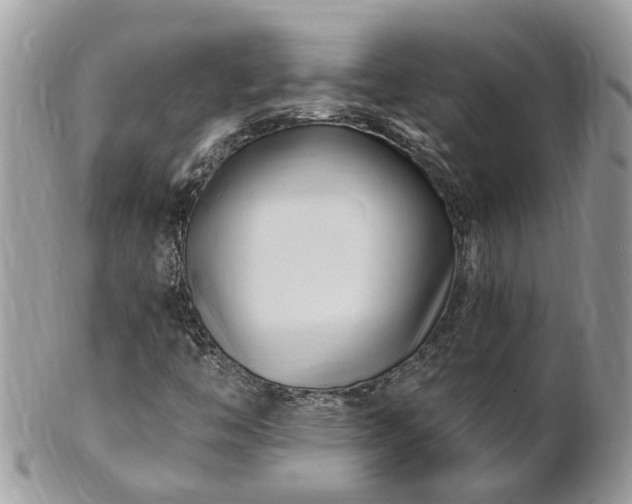 X0000101171446200807071211