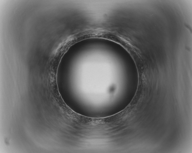 X0000101171447200807071211