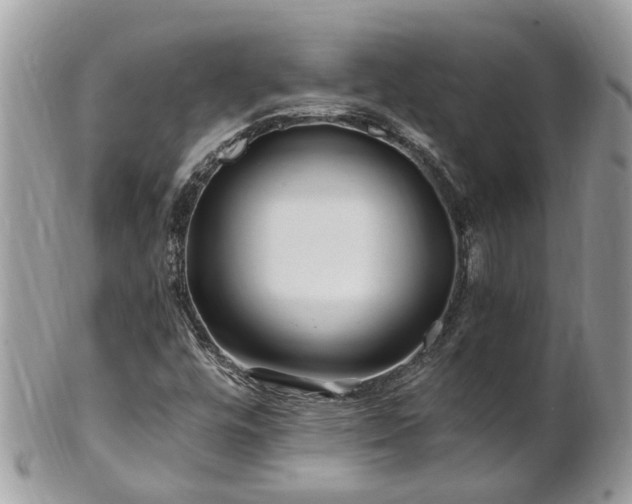 X0000101171448200807071211