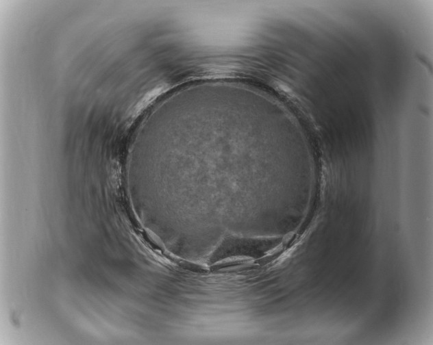 X0000101171449200807071211