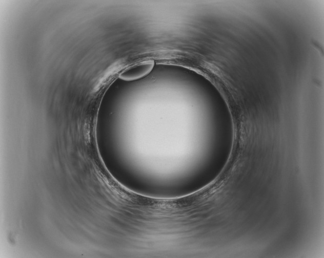 X0000101171451200807071211