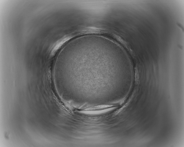X0000101171453200807071211
