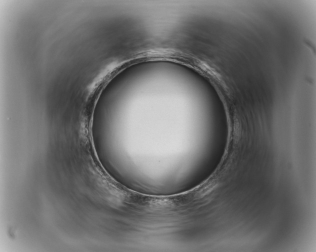 X0000101171454200807071210