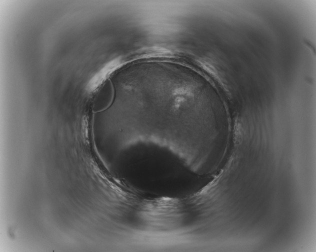 X0000101171455200807071210