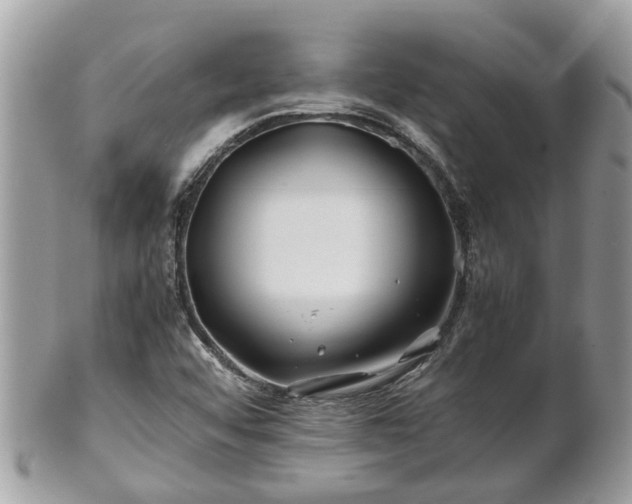 X0000101171456200807071210