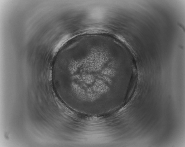 X0000101171459200807071210