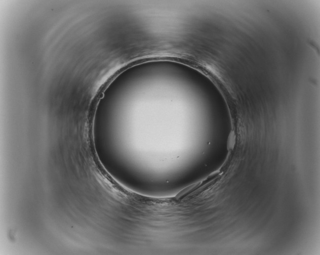X0000101171460200807071210