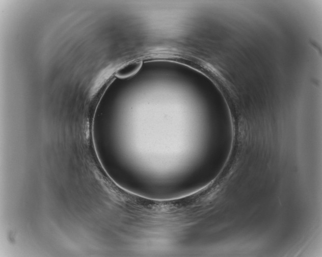 X0000101171461200807071210