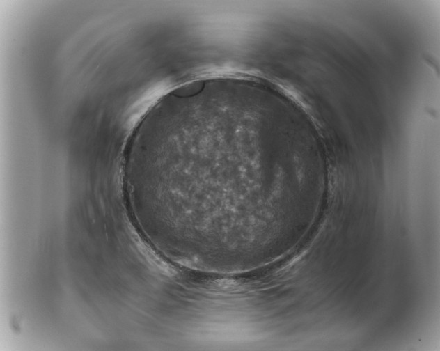 X0000101171463200807071210