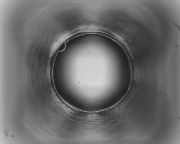 X0000101171464200807071210