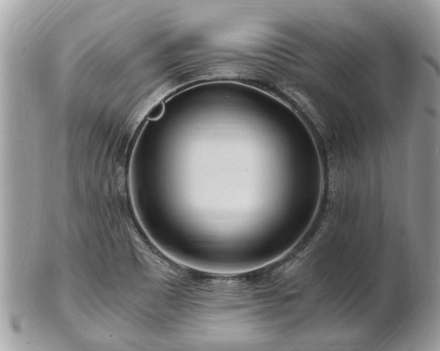 X0000101171465200807071210