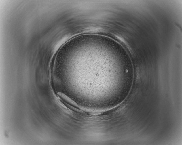 X0000101171467200807071210